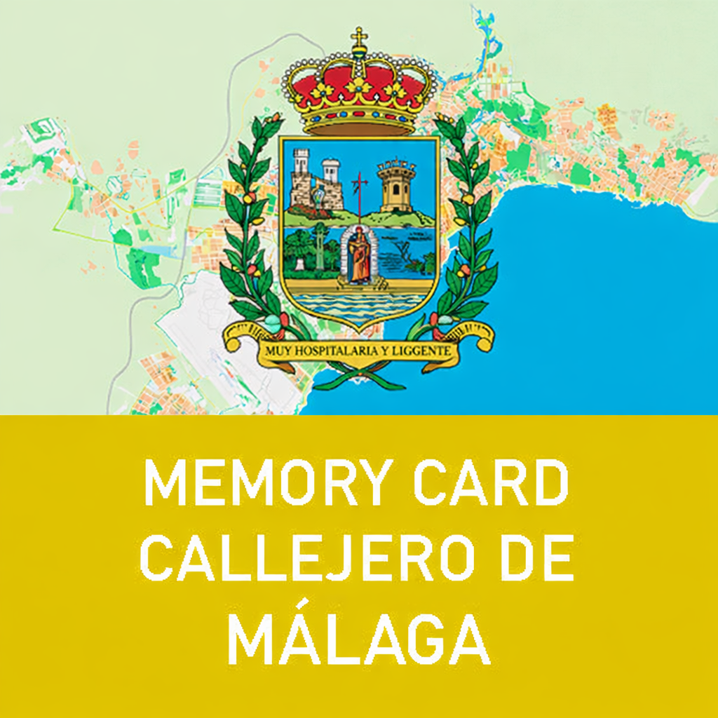 Memory Card Callejero de Málaga