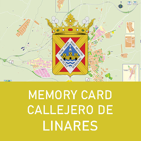 Memory card Callejero de Linares